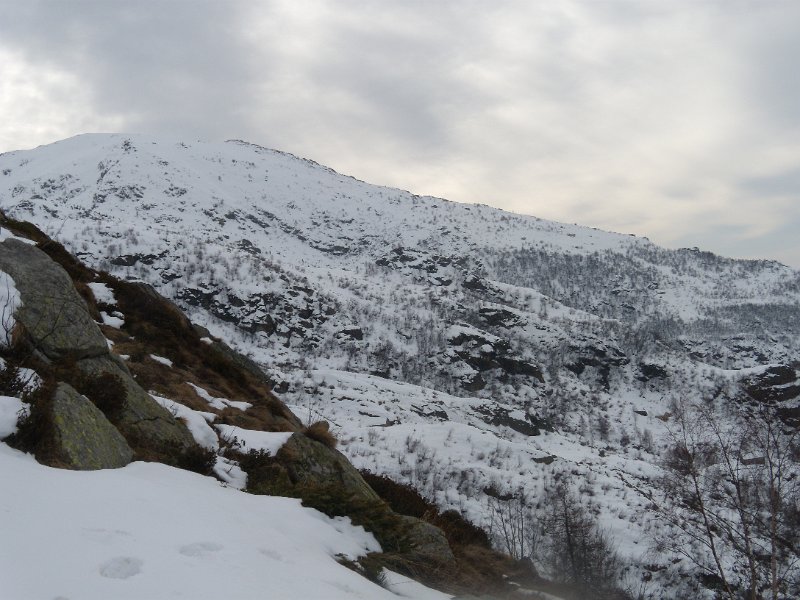 fine febbraio 2011 029.jpg